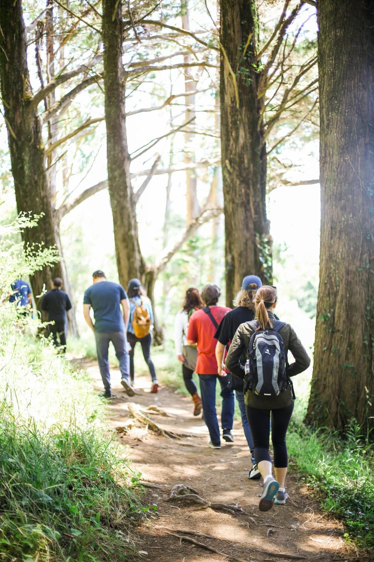 Poison Oak on the Trail – How to Identify, Avoid & Treat It